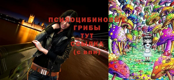 крисы Алзамай