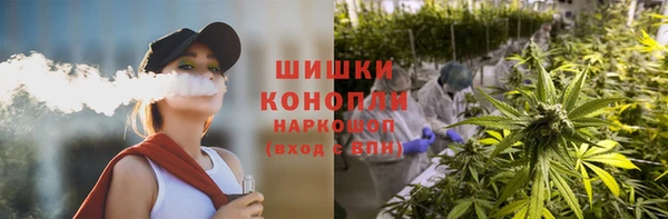 стаф Абинск