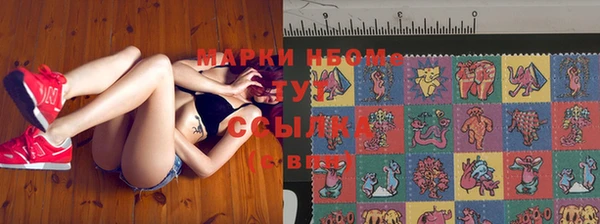 крисы Алзамай