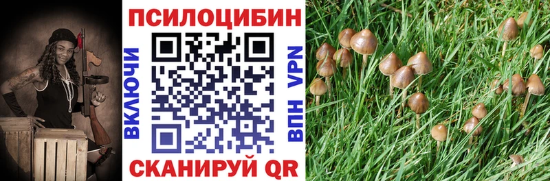 Галлюциногенные грибы мухоморы  ссылка на мегу рабочий сайт  Павловский Посад 